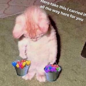 女生裸体九一视频
