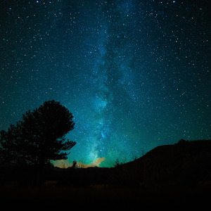 女生裸体九一视频
