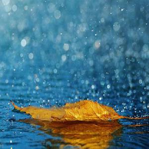 女生裸体九一视频
